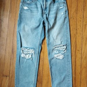 Everlane Boyfriend Jeans 29 Regular Edition 03 Straight Distressed